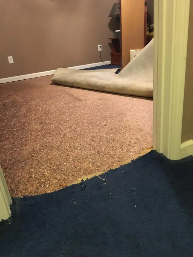 Carpet pad removal revealing water damage during Drying & Dehumidification in East Riverdale